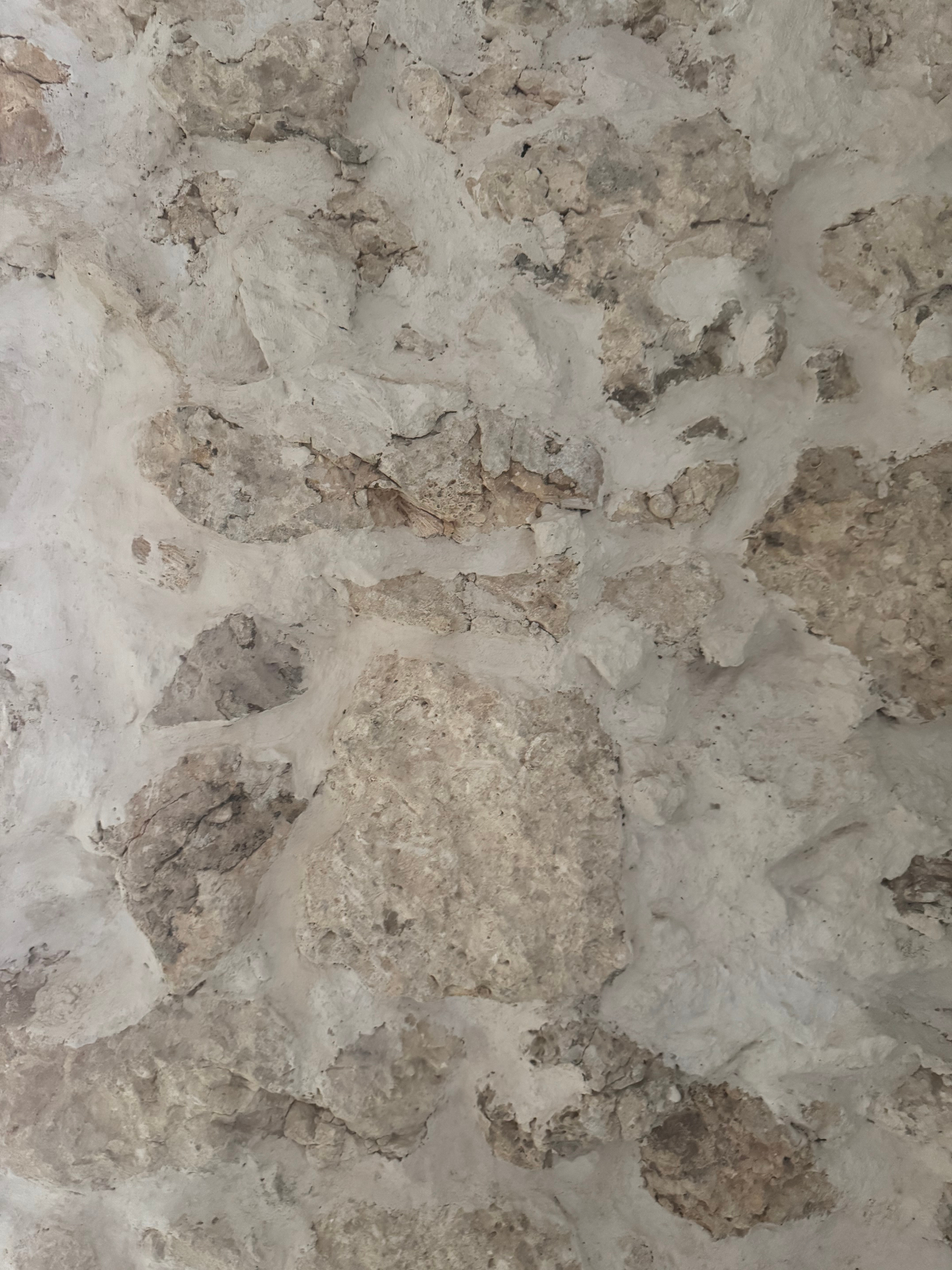 A close-up study of a coral stone wall — weathered, textural, enduring
